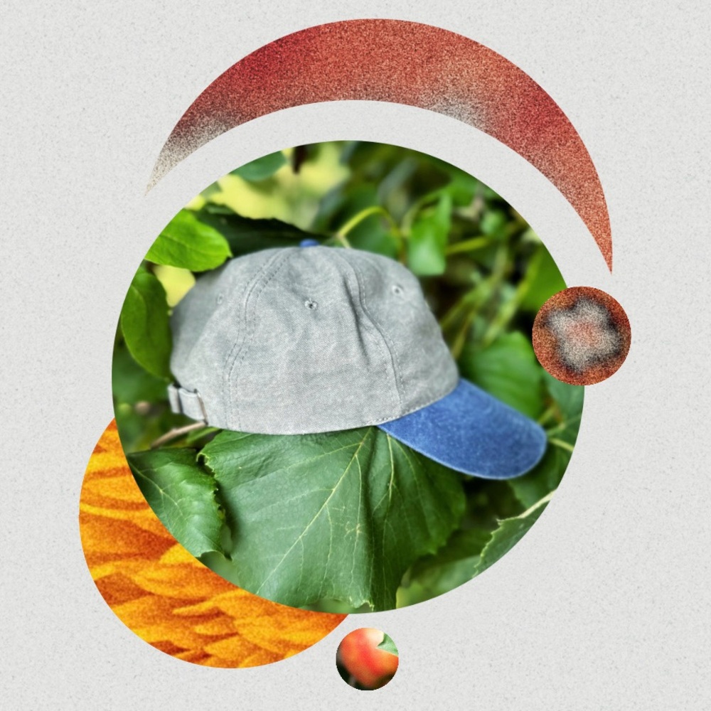 New 100% Cotton Dad Hat (Dead Stock; No Tags)